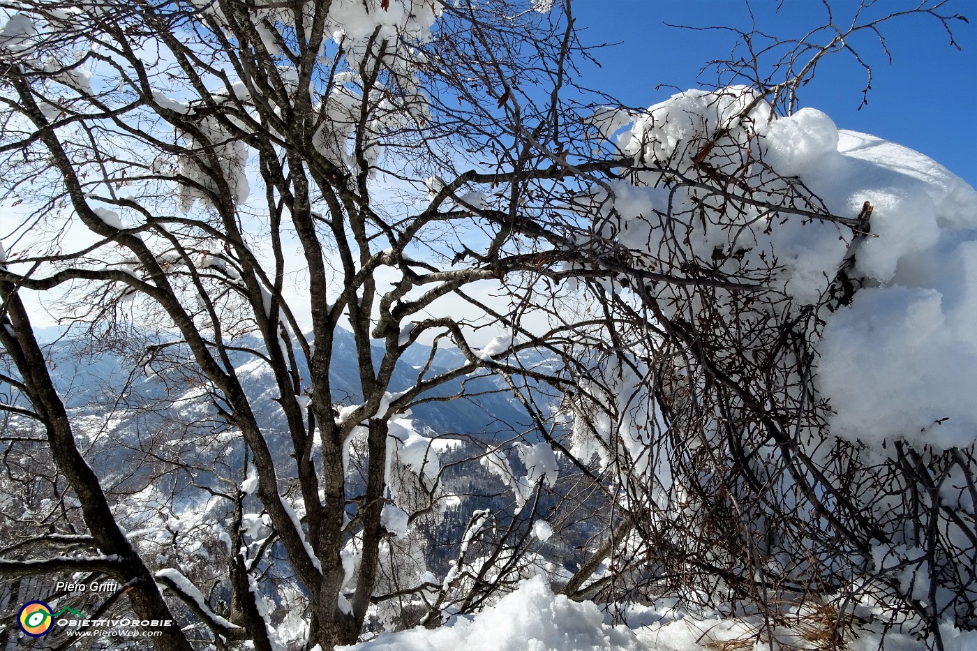 21 Ultima neve sugli alberi.JPG